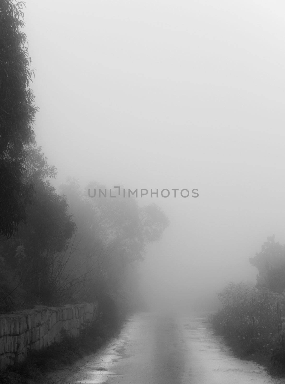 Dense fog enveloping all the surroundings at Dingli Cliffs in Malta on Monday 7th March 2010