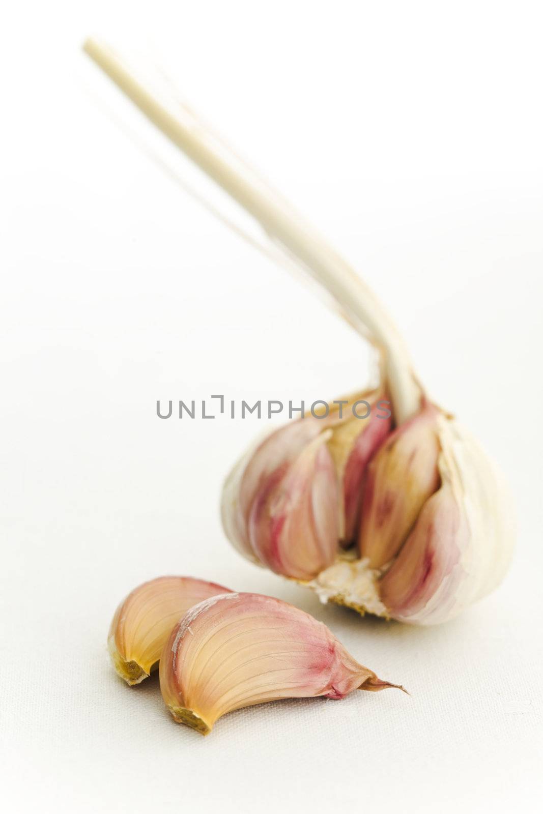 Garlic and cloves on the white kitchen table