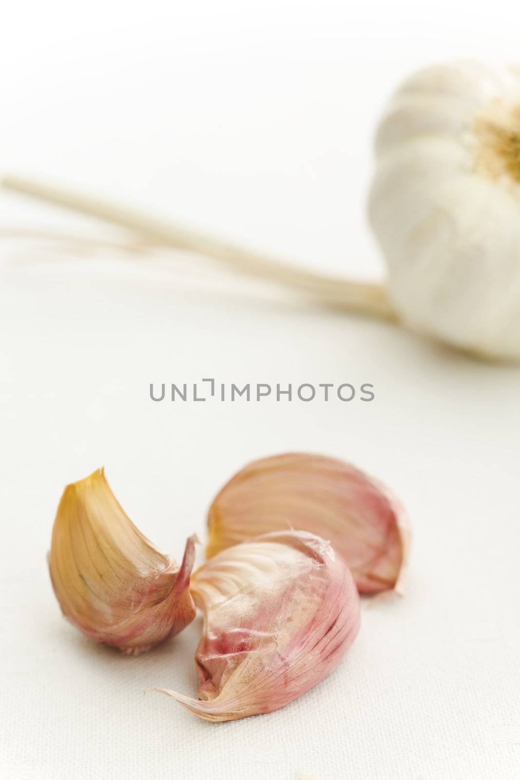 Garlic and cloves on the white kitchen table