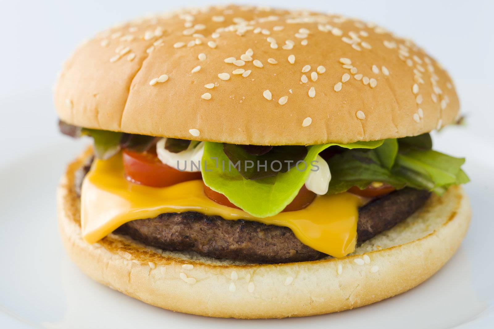 Homemade cheese burger on the plate over white background