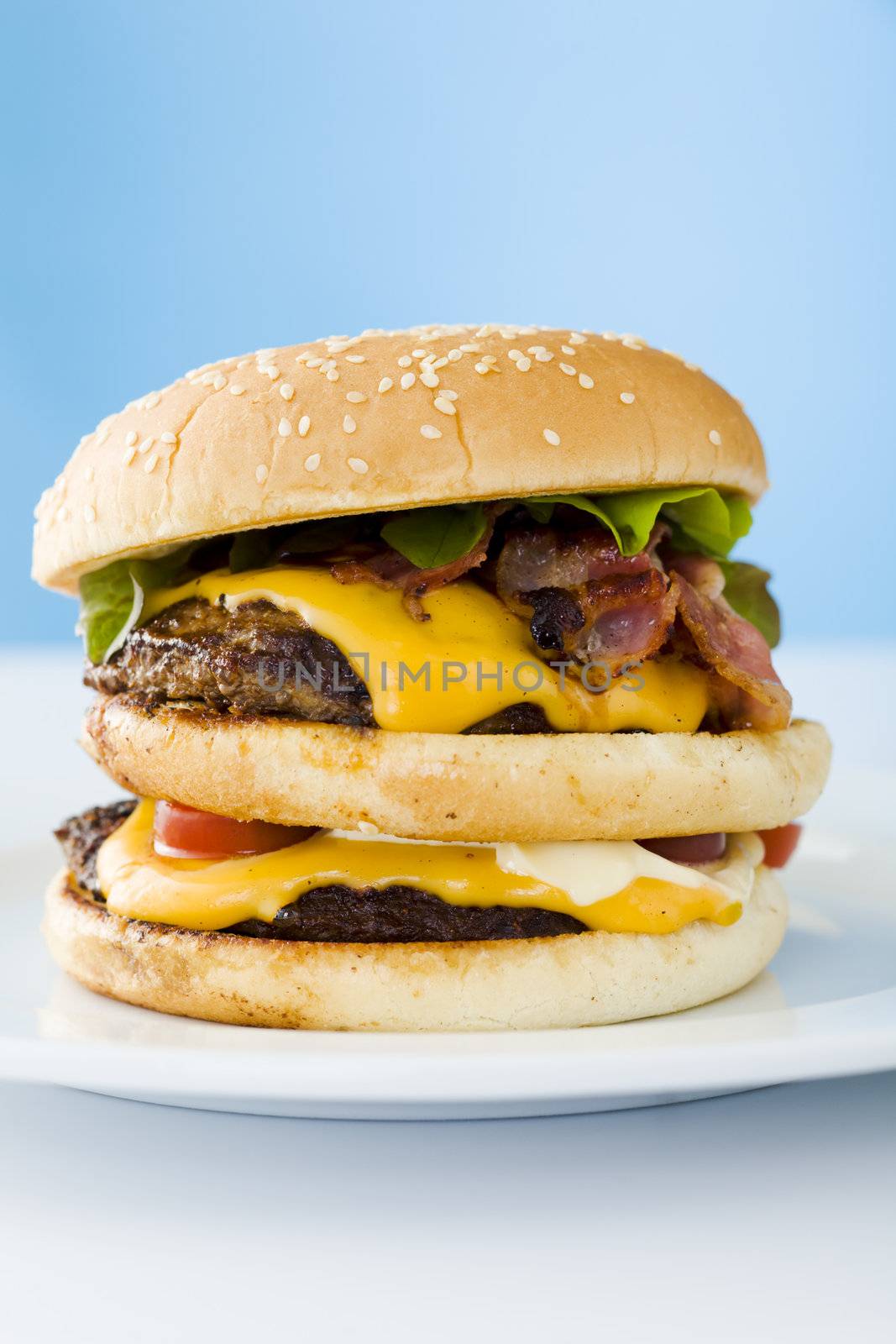 Homemade cheese burger on the plate over blue background