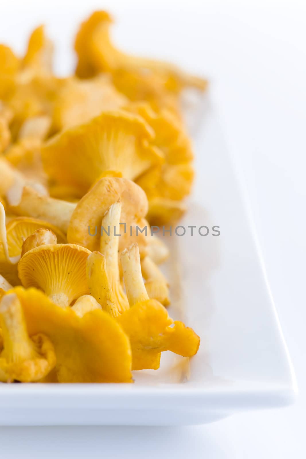 fresh golden chanterelles piled on the table