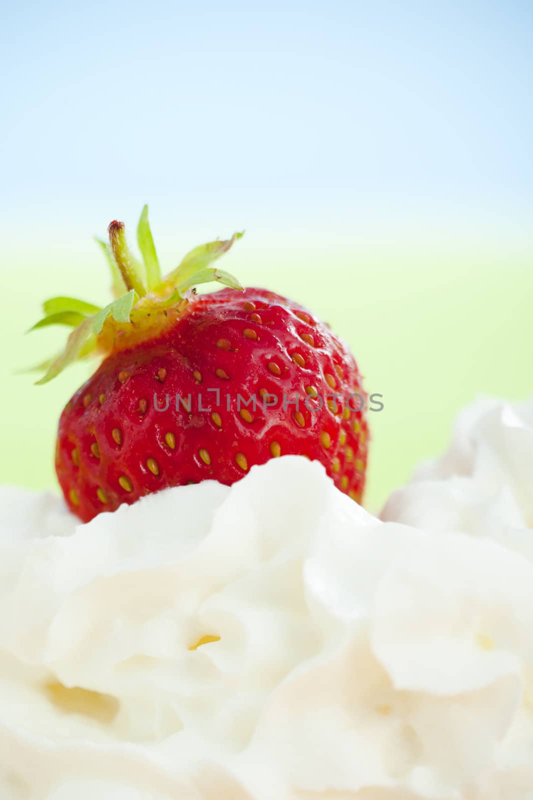 Strawberry sinking in to whipped cream over light green background