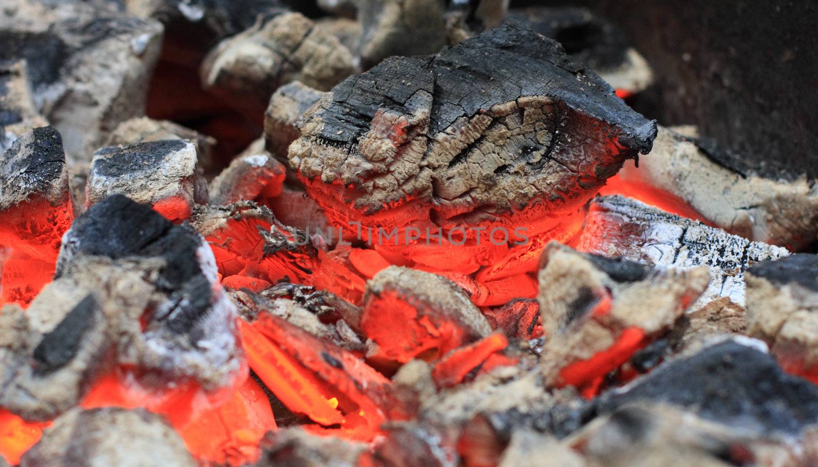 coal, hall, tree, wood, fire, to, burn, decay, furnace, heated, ashes, background