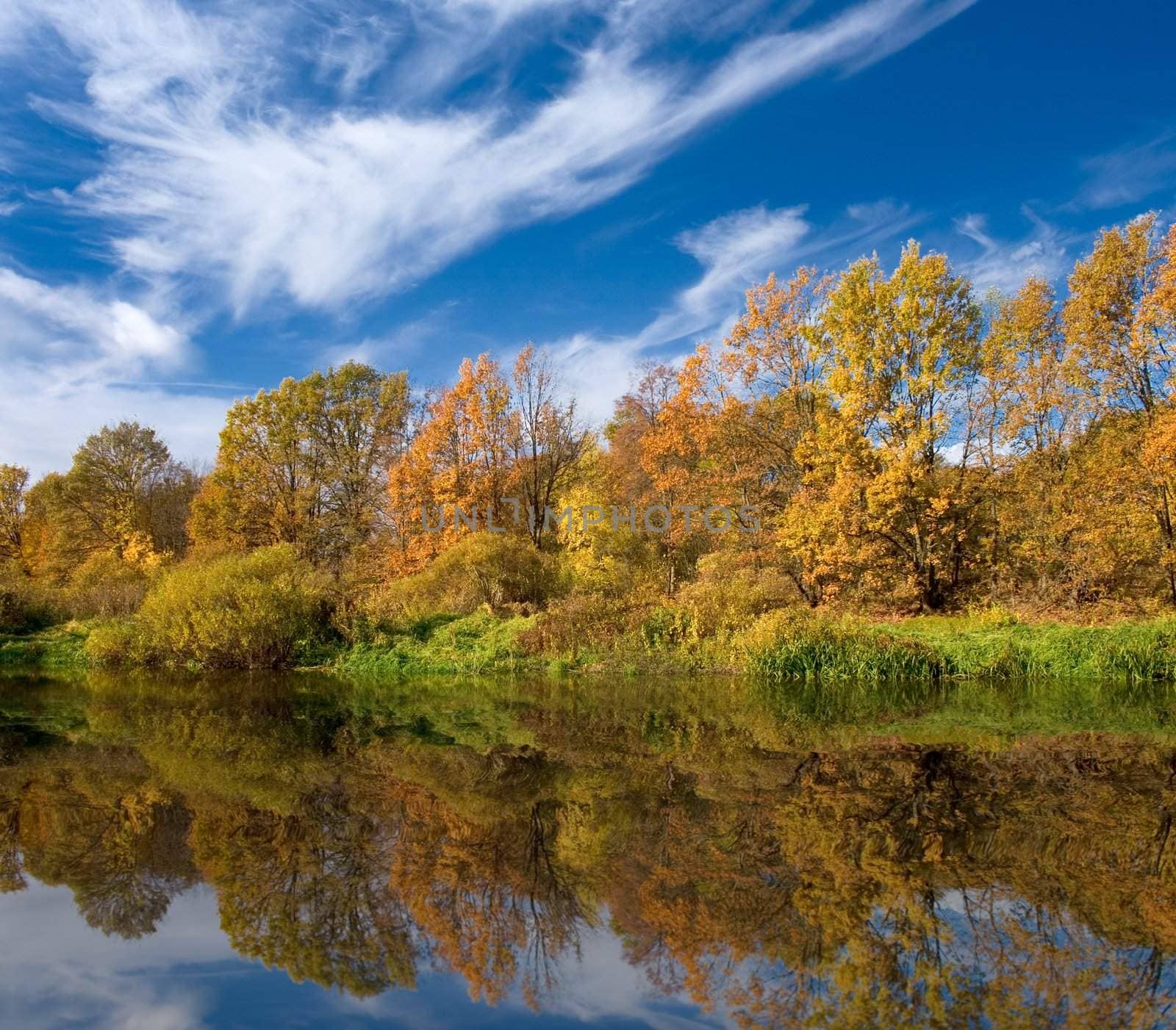 Yellow fall forest on river bank with reflection in water