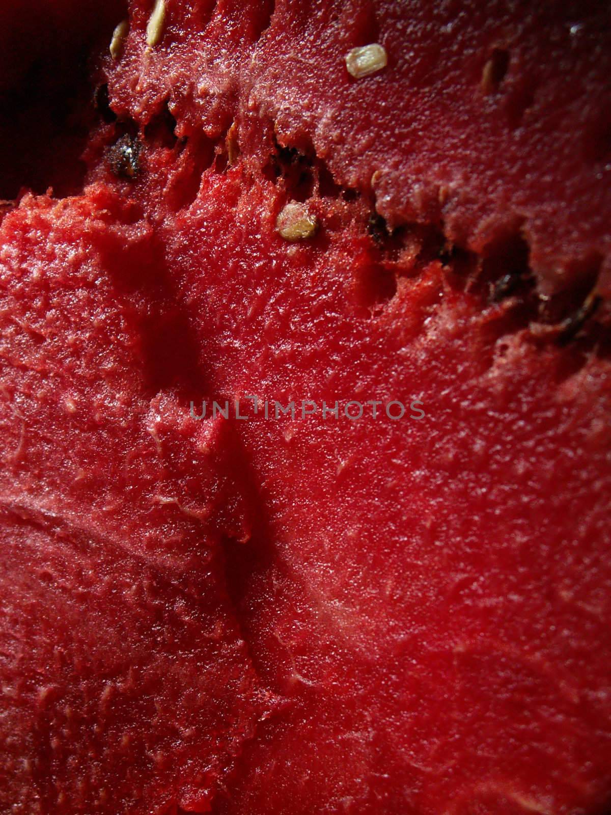 detail of a watermelon structure
