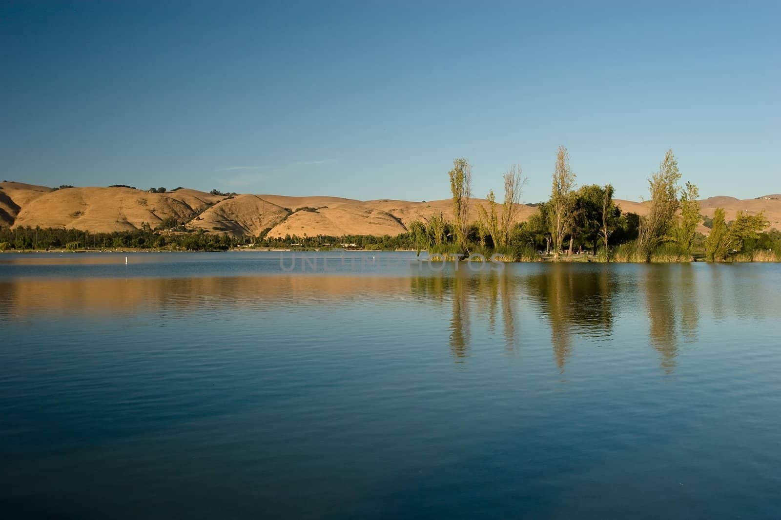 Lake Elizabeth, an 83 acre man made lake that serves as a scenic picture for the residents who come to picnic, play sports, walk or tour the vicinity.