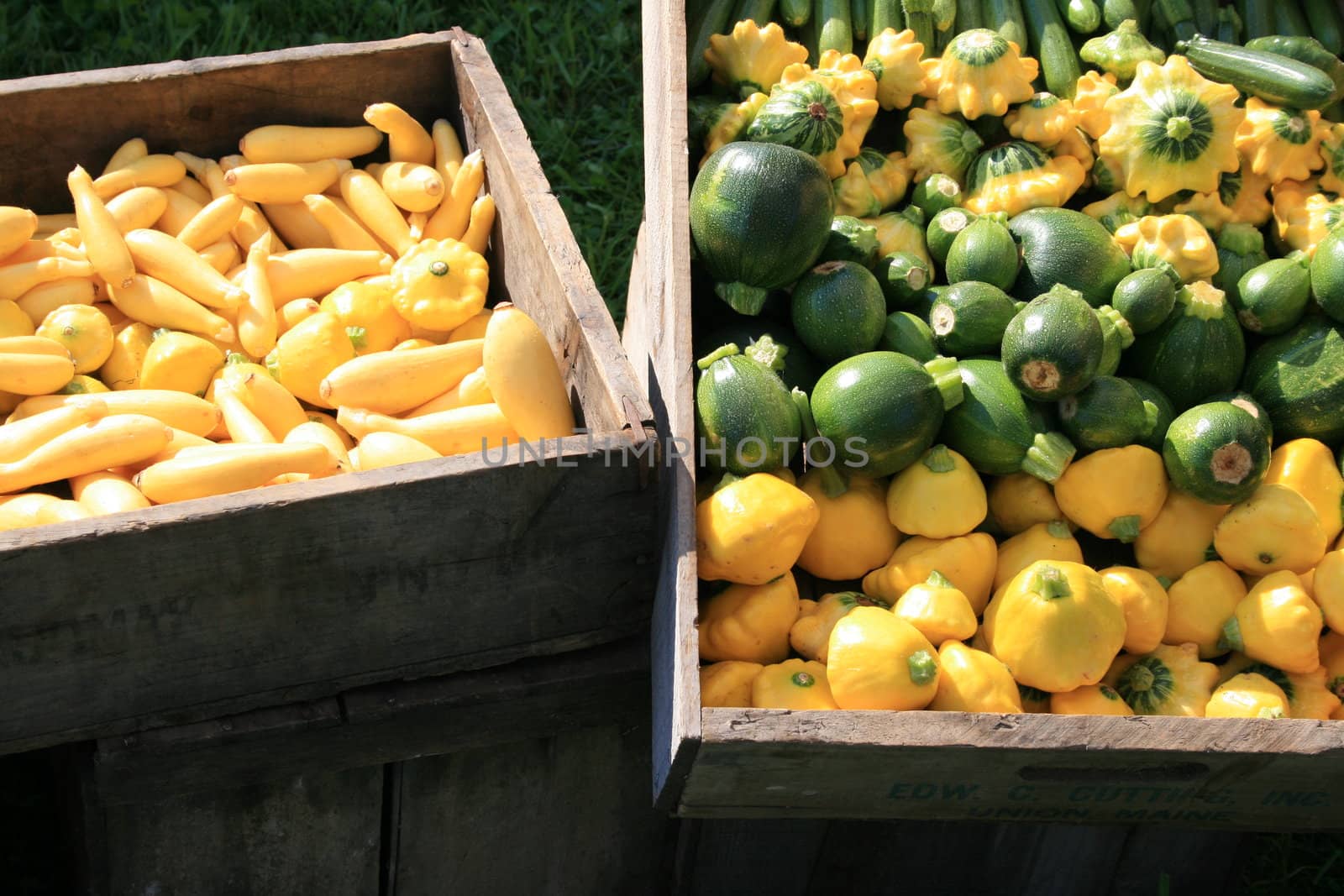 a variety of fresh squash, displayed in wood crates at the farmers market