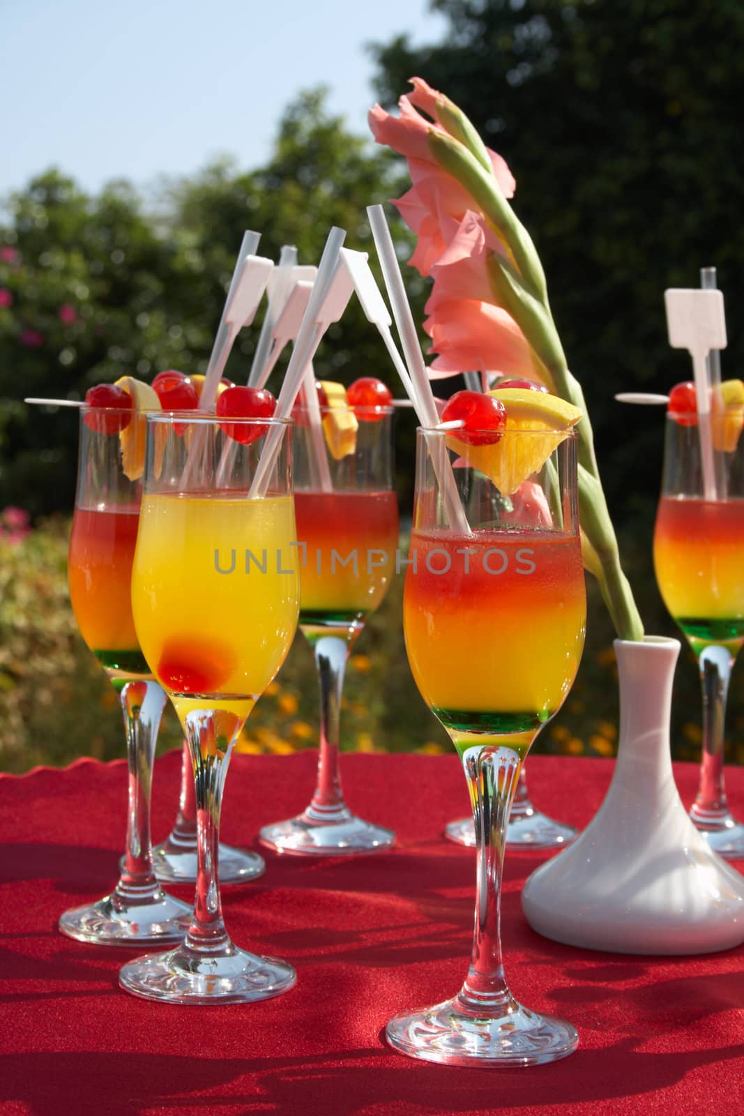 cocktails on the red table at outdoor party