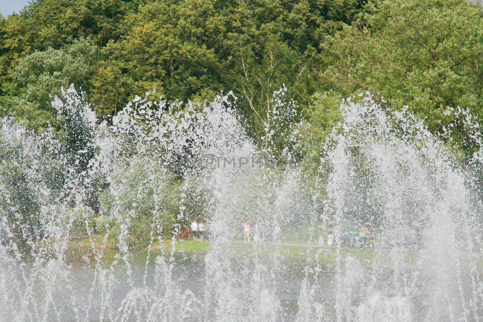 Jets of a fountain fly upwards in the afternoon