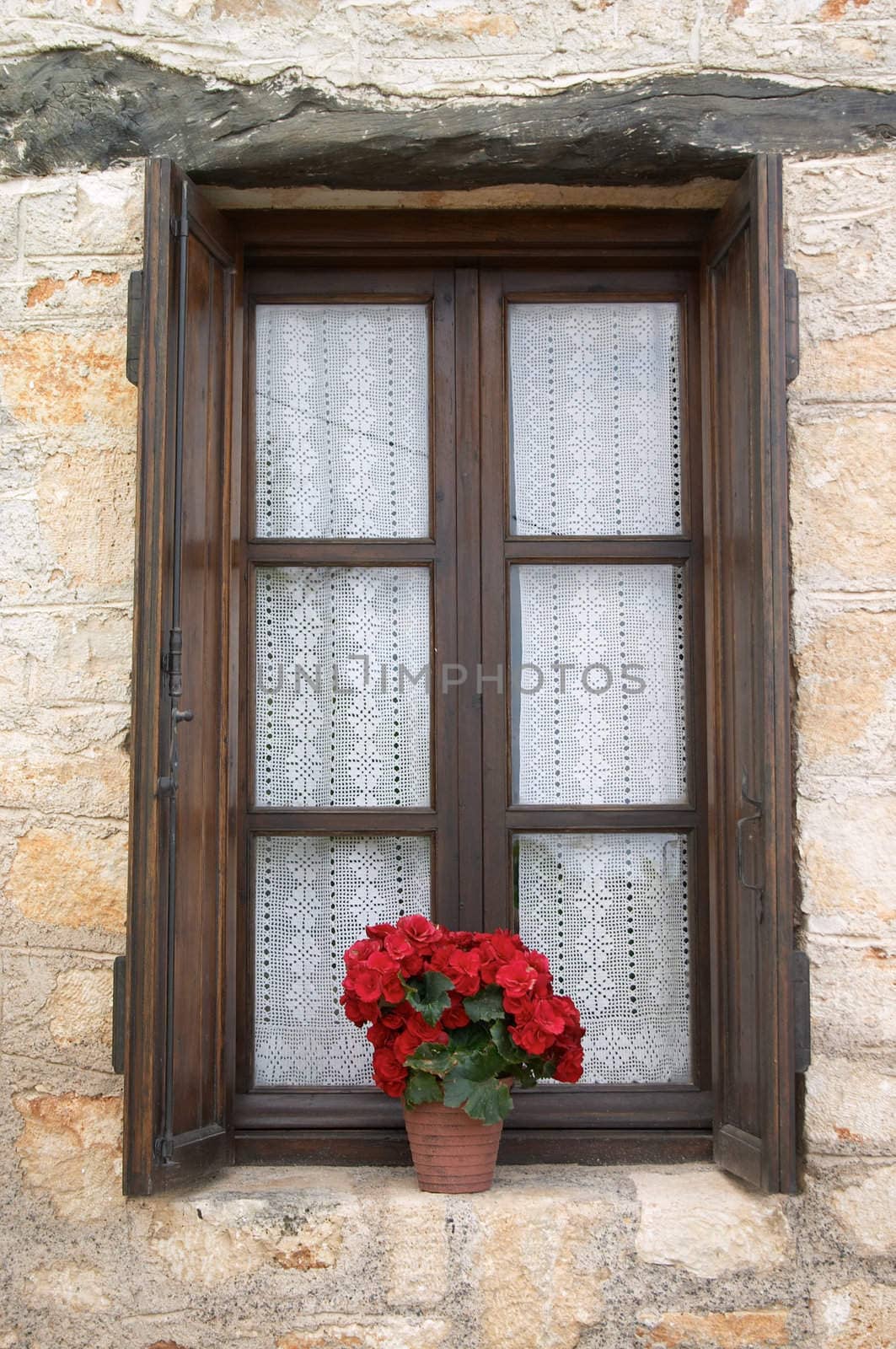 old window with flower pot