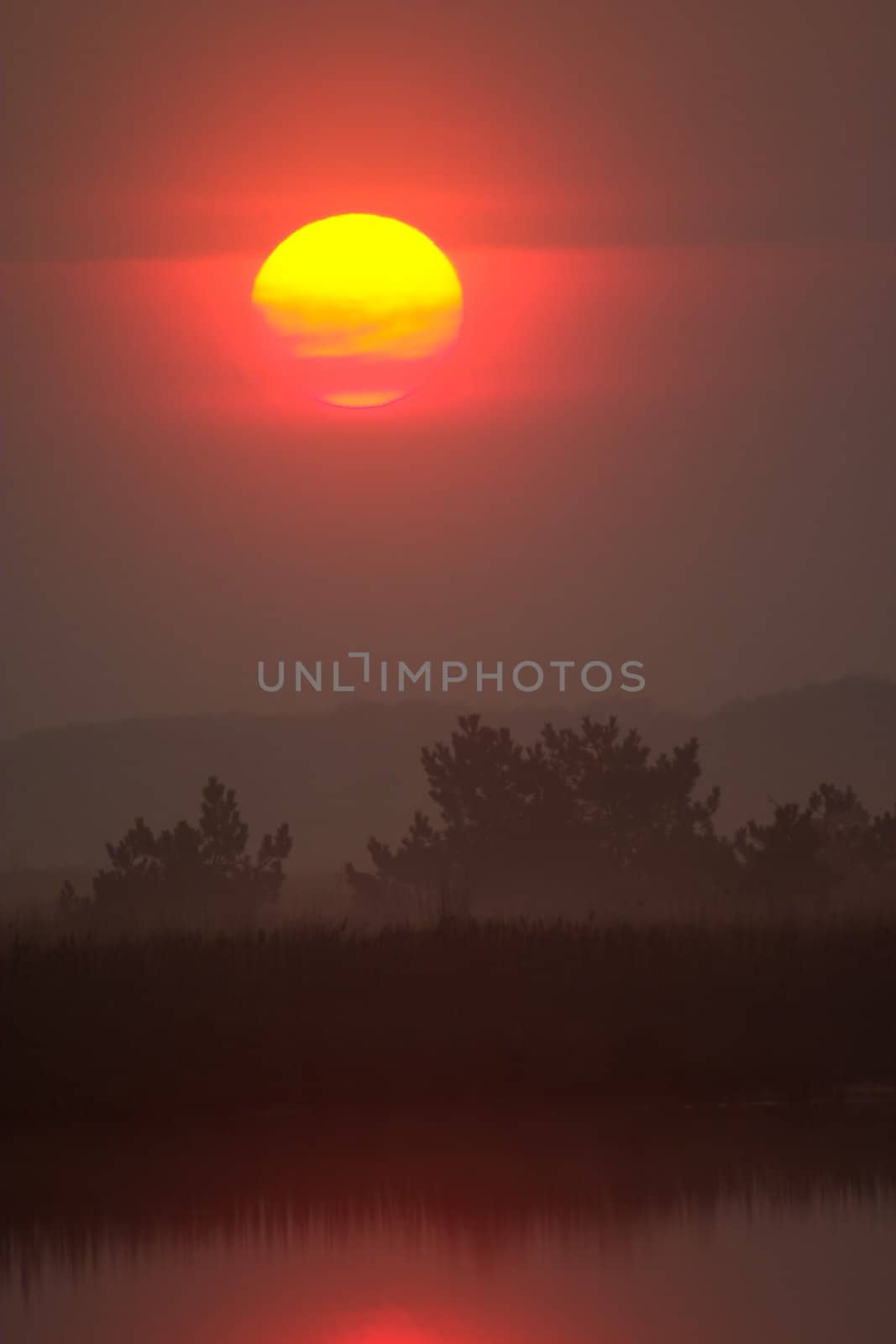 Sunrise over wild lake, covered by fog