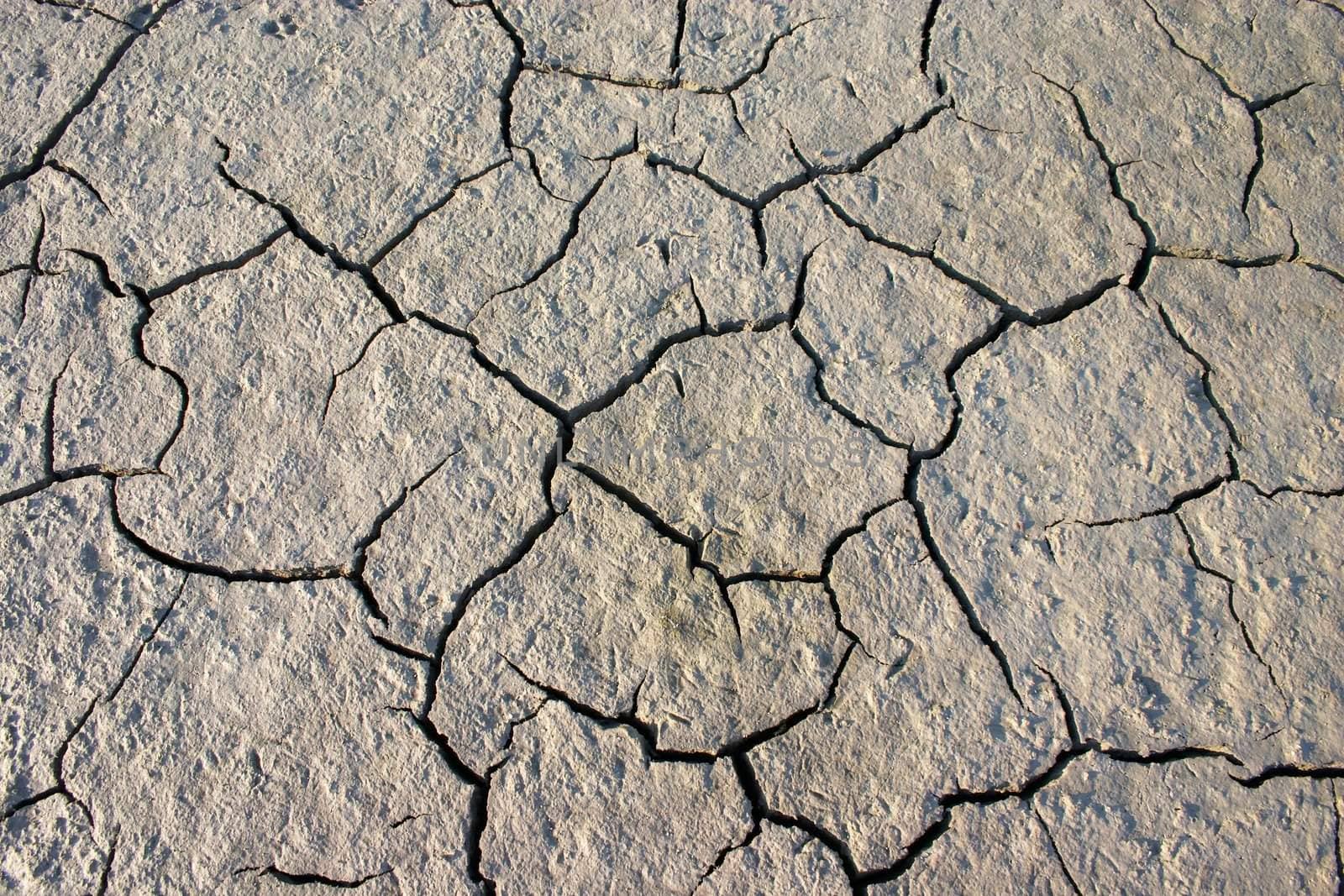 Fissures on a dried up mud