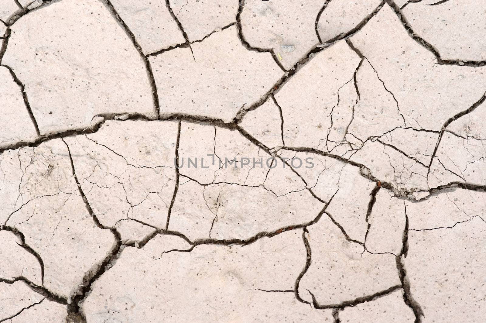 Detail of the parched earth