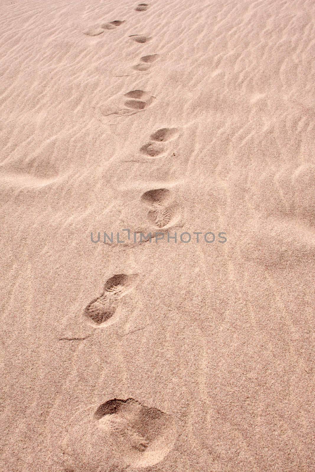 line of footprint on the sand in Sahara desert