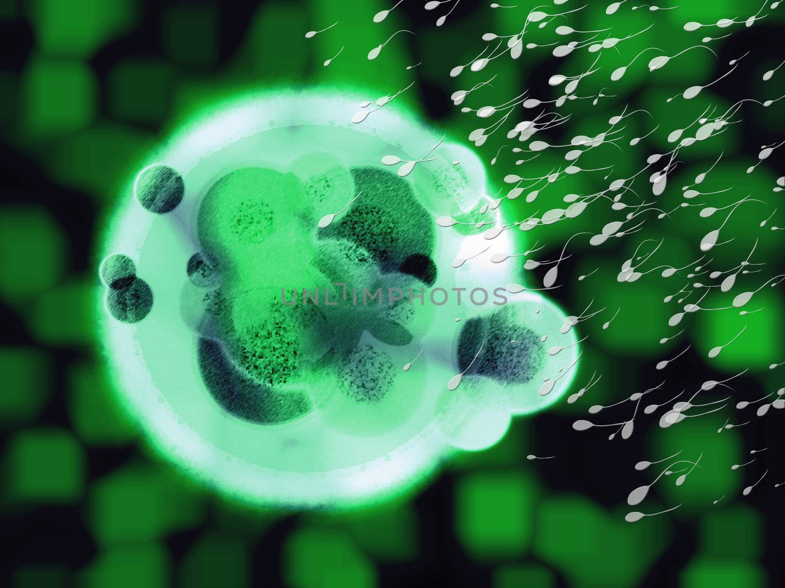 Radioactive Hulk Organic Cell Egg With Sperm Approaching by bobbigmac