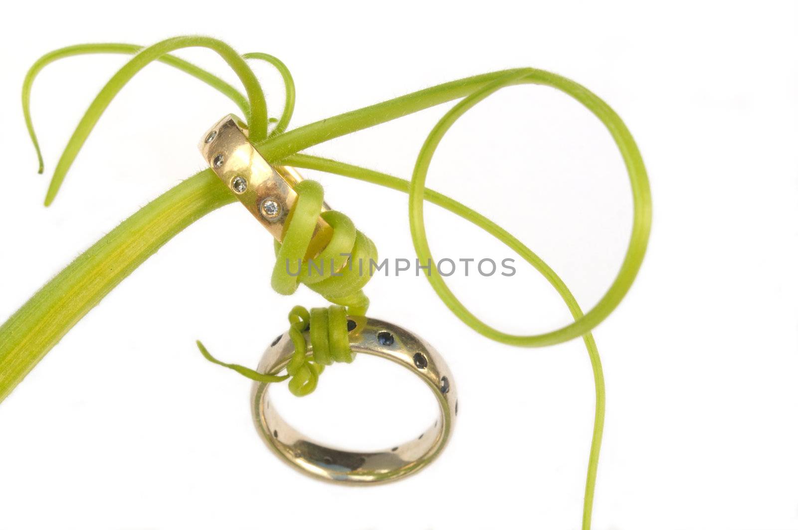two wedding rings, one yellow gold with diamonds and the other white gold with blue sapphires, are bound together with green vine tendrils
