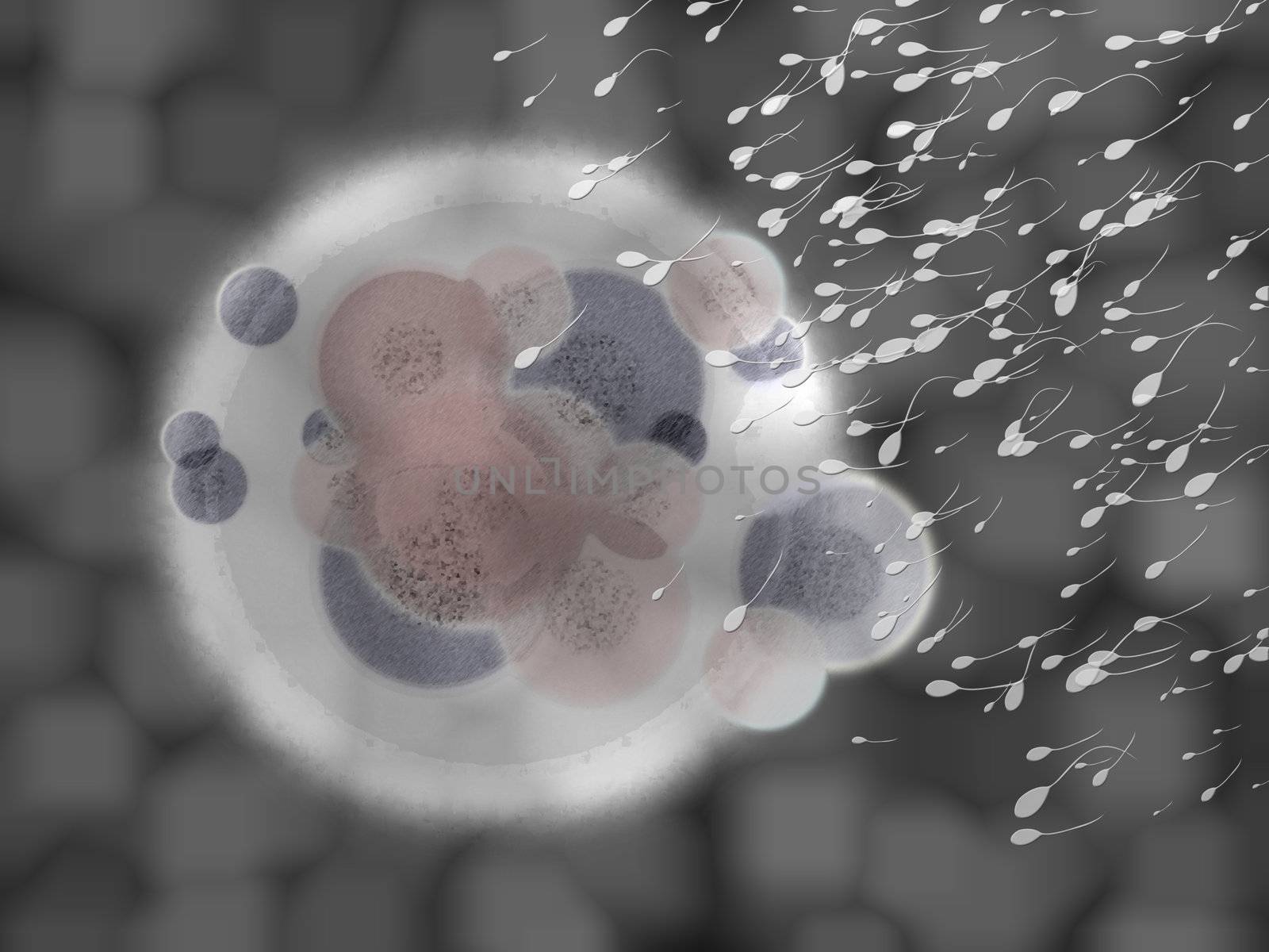 Grey 3d Organic Cell Body Matter Medical Illustration with Lots of Sperm Cells