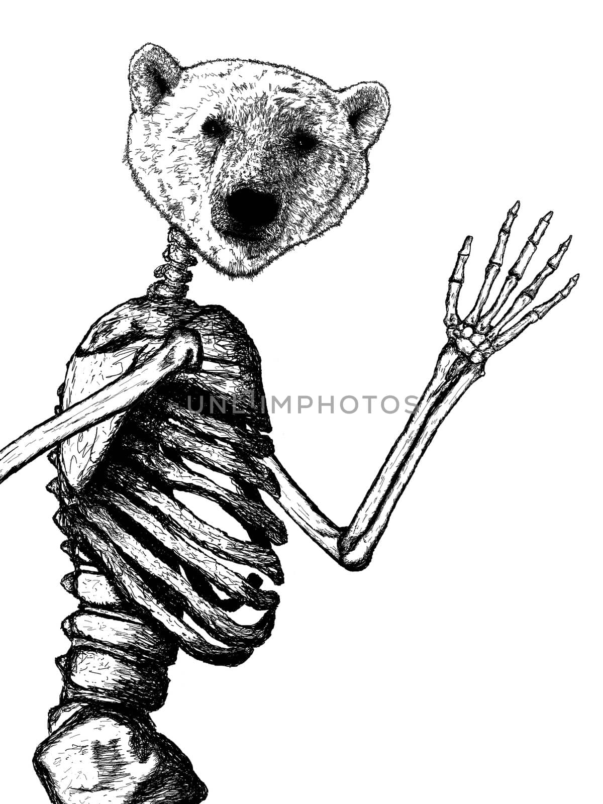 Head of a Polar Bear Illustration on Human Skeleton Waving