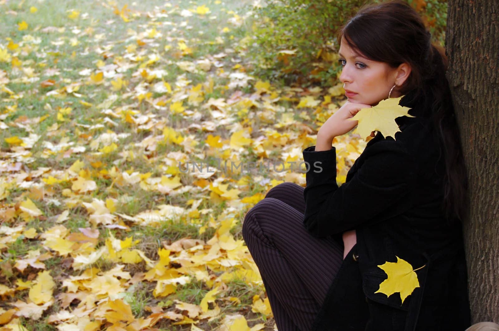 autumn girl portrait outdoors with yellow leaf
