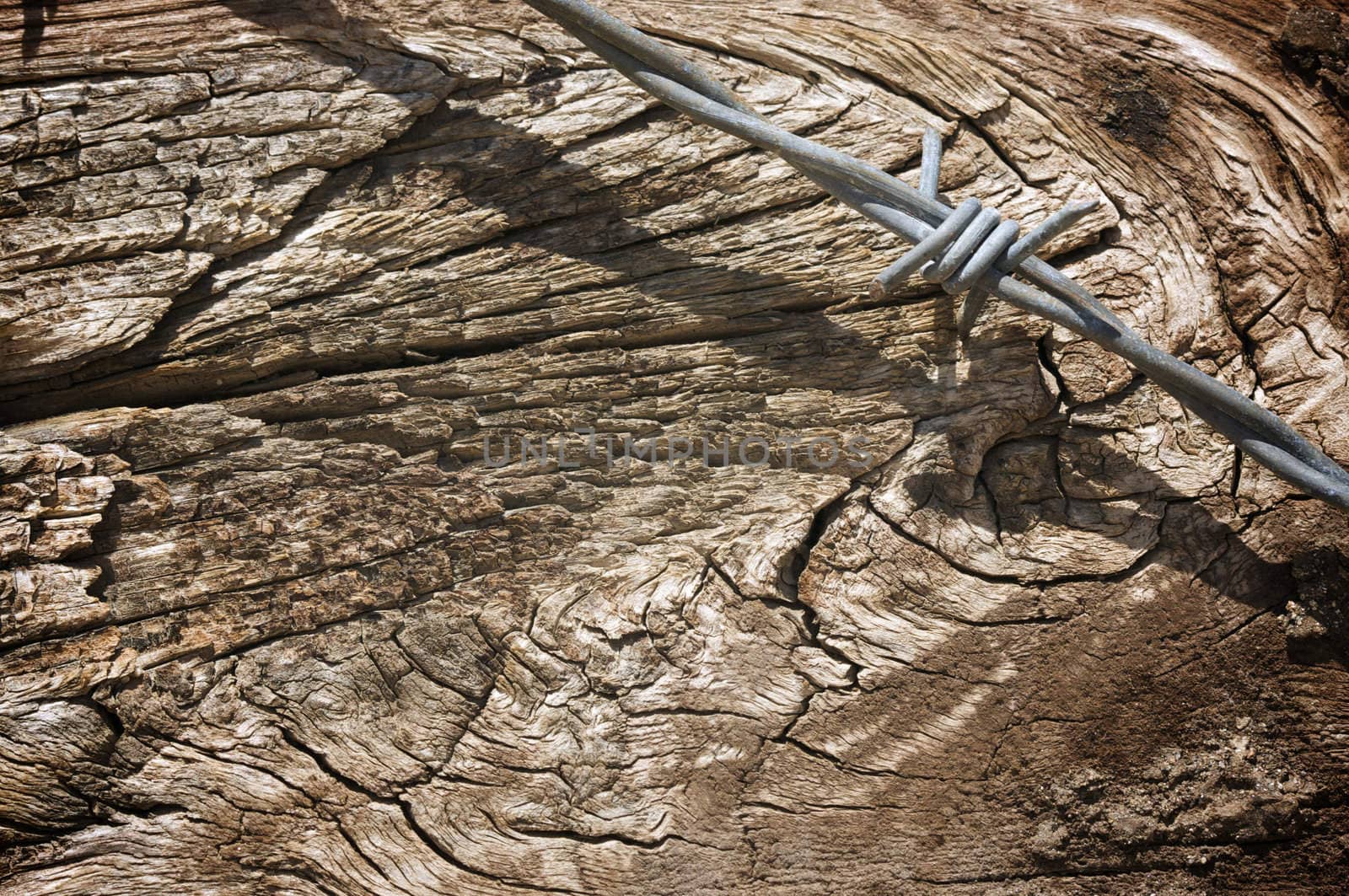 Aged Wood Texture and Barbed Wire Macro Background.