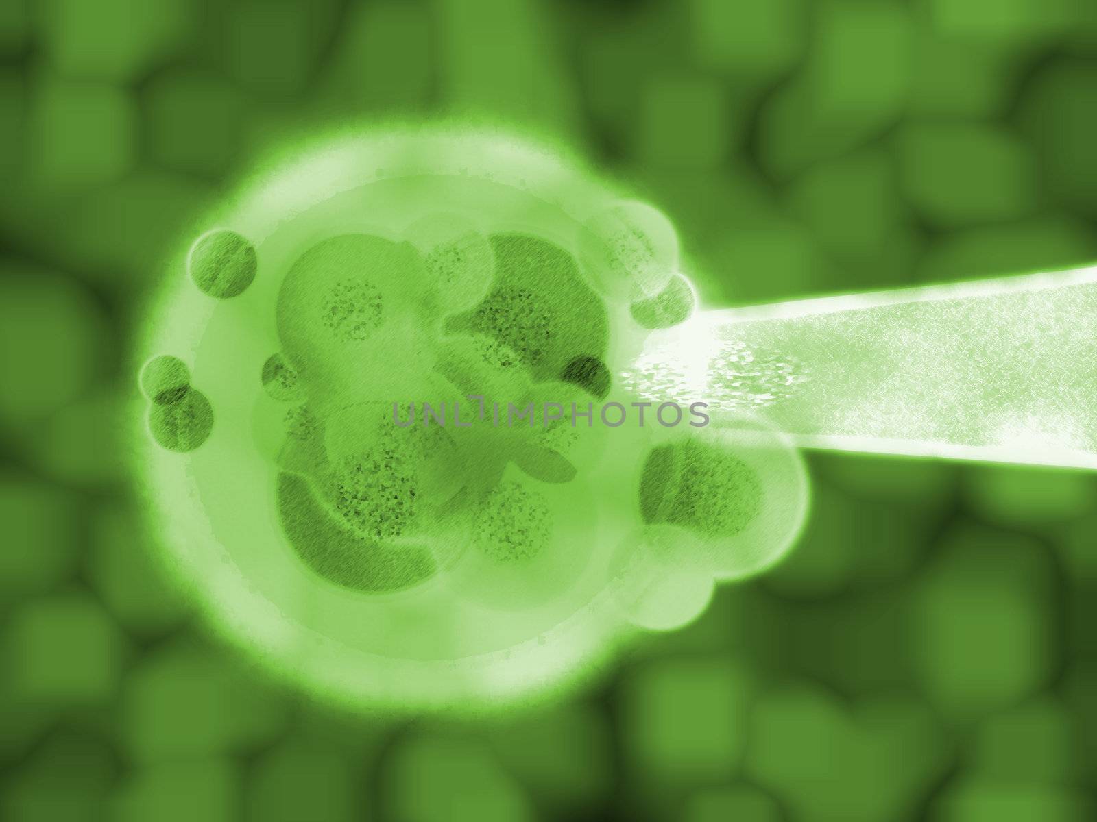 3d Green Plant Cell Matter Medical Illustration by bobbigmac