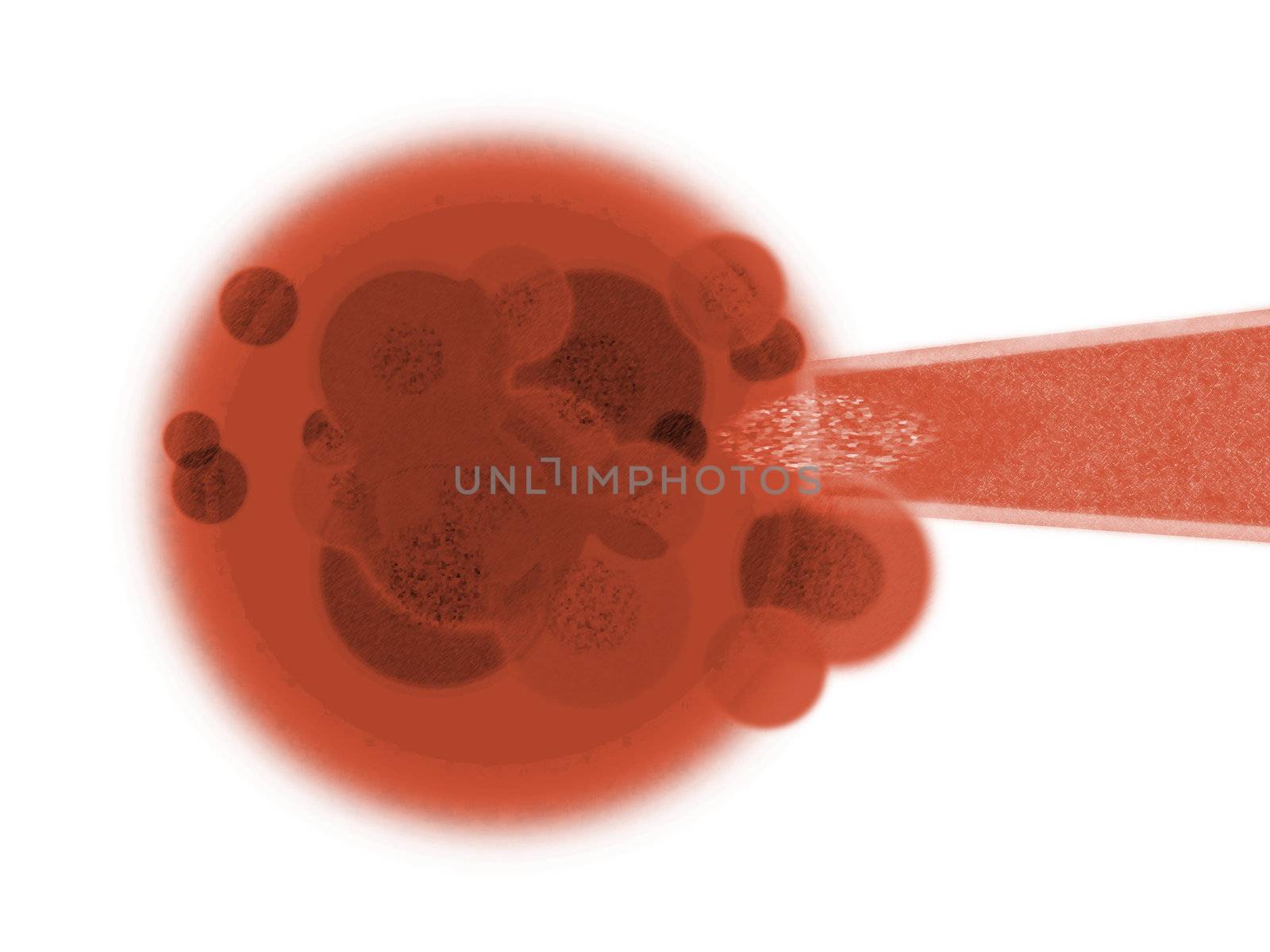 Red Blood Organic Body Cell and Needle Isolated on White