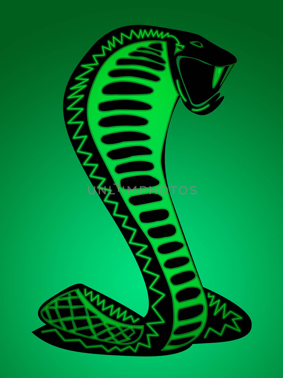 Funky Snake Illustration Design on Green Background by bobbigmac
