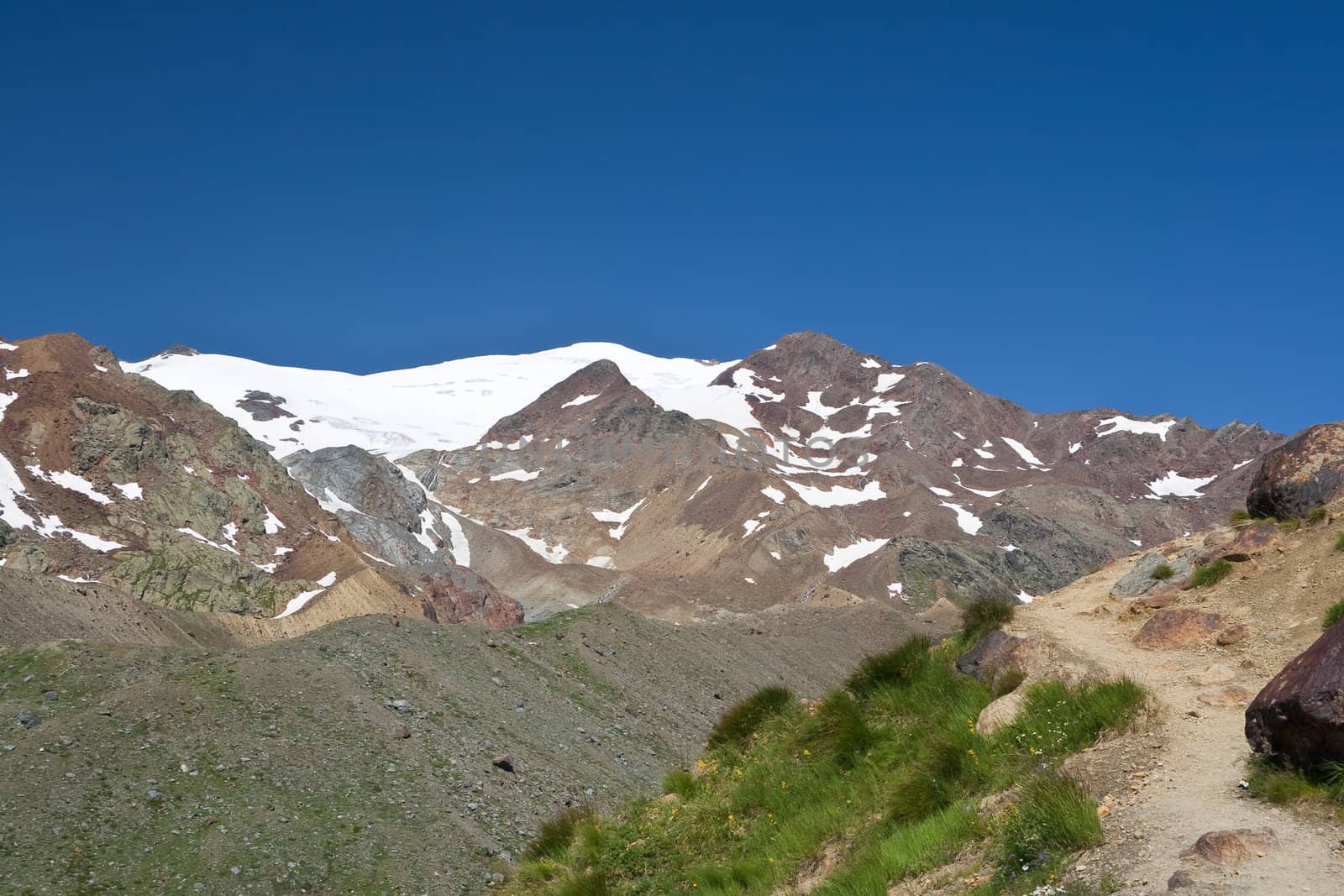view of Cevedale mountain from a path in Pejo valley, Stelvio National Park, Trentino, Italy
