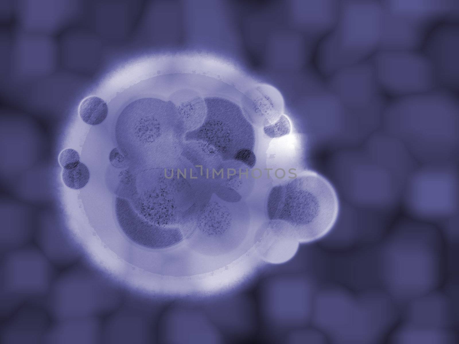 Blue 3d Organic Cell Matter Medical Illustration Floating in Bod by bobbigmac