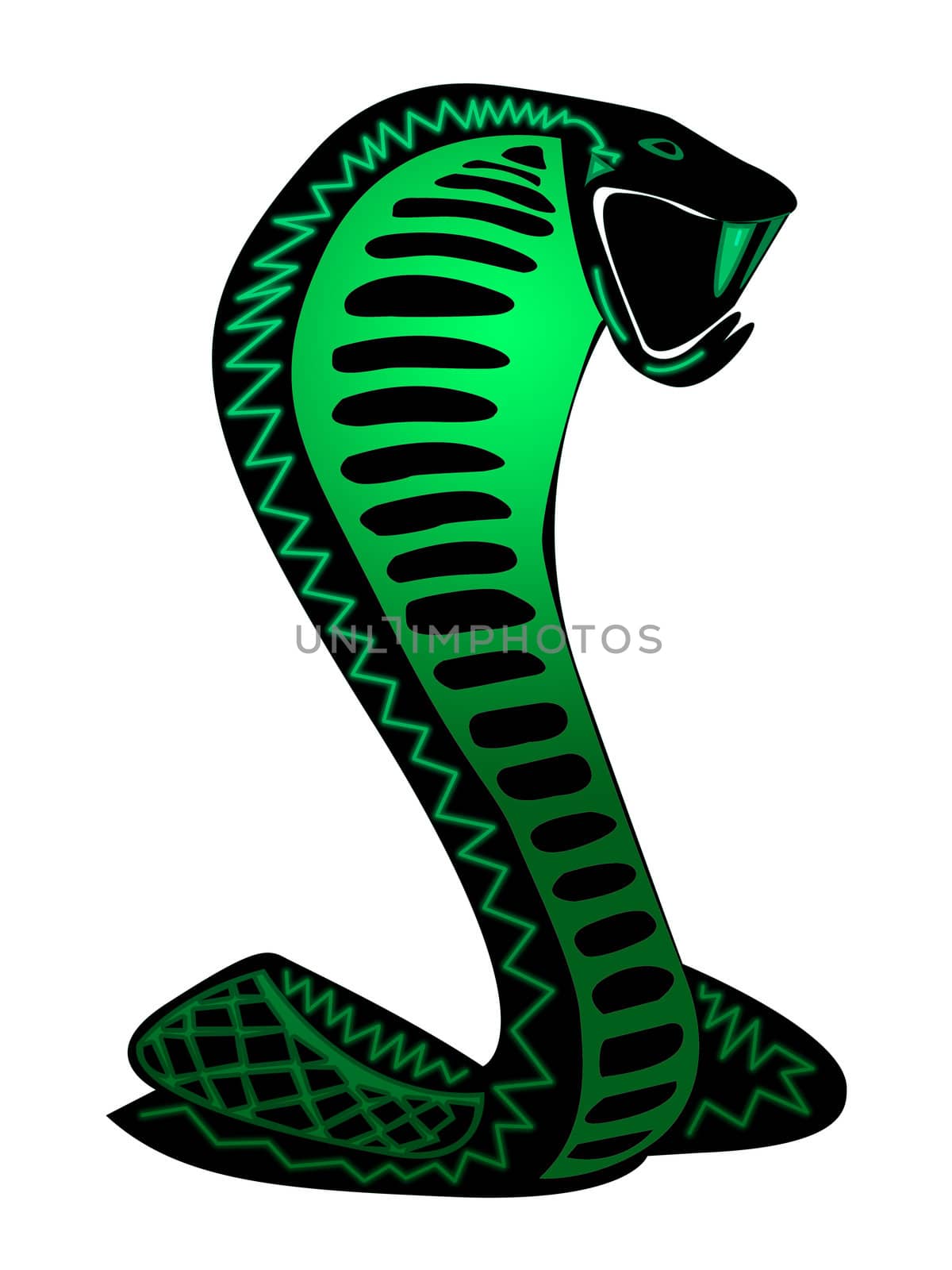 Funky Snake Illustration Design on White Background by bobbigmac