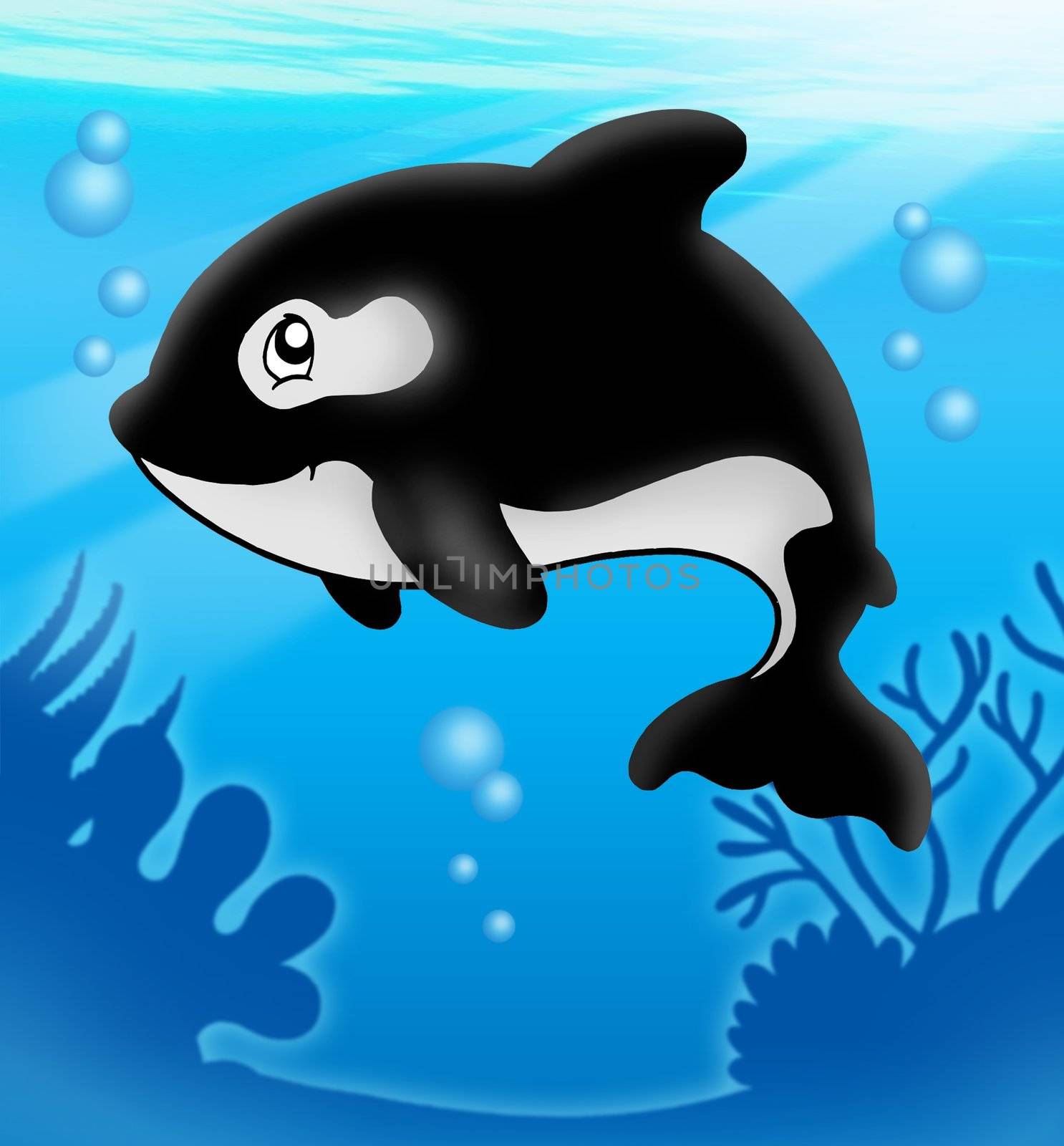 Cartoon killer whale in sea - color illustration.