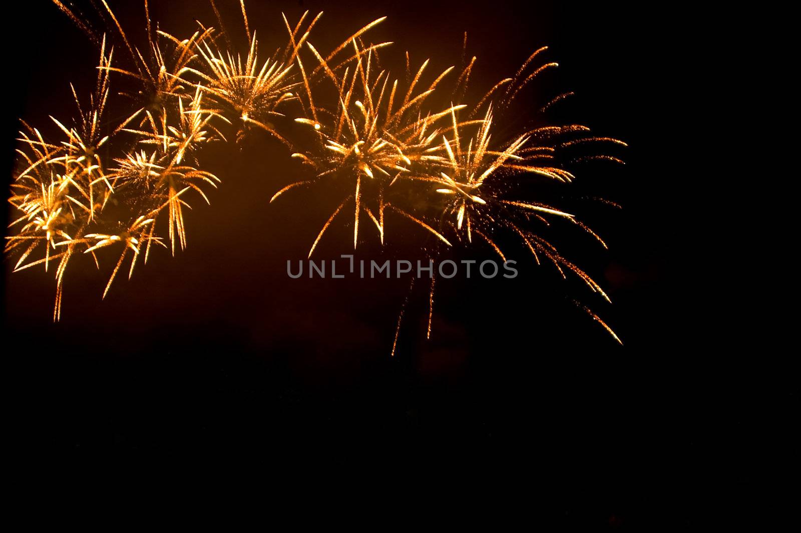 explosion of fireworks in the night sky
