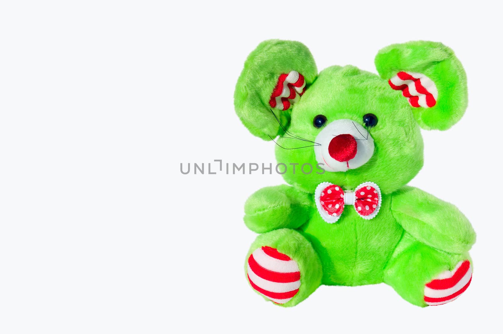 Soft toy green  bear , isolated on a white background.