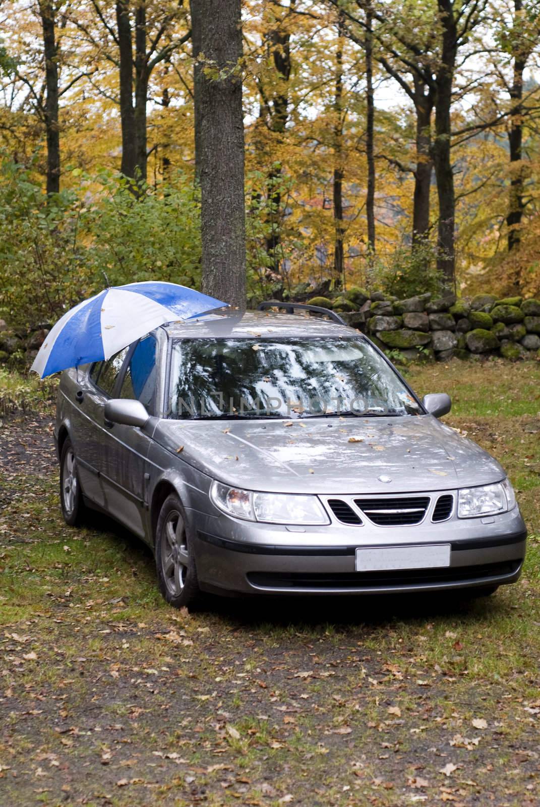 portrait of car in forest topped with an umbrella