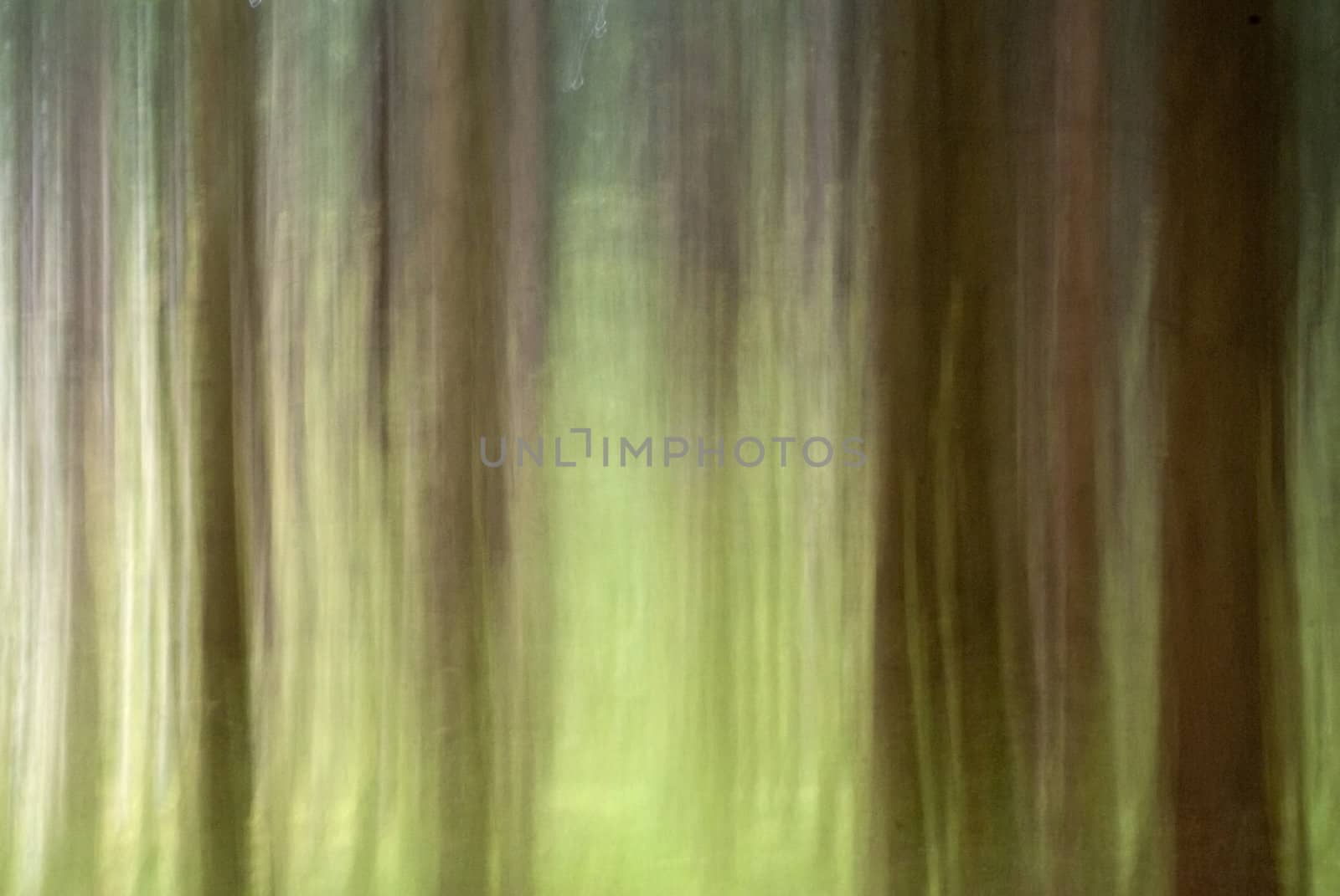 portrait of abstract nature background with blur