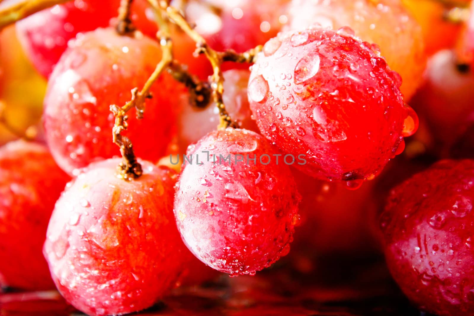 grapes by Lyudmila