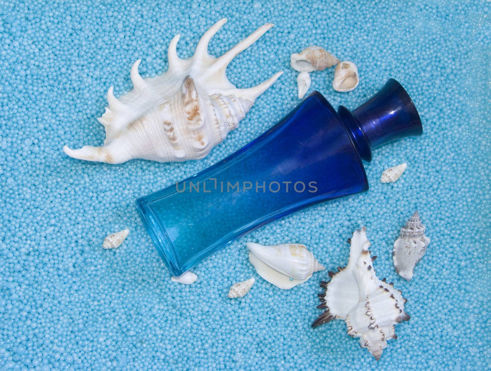 The image of a bottle of perfume and cockleshells on a dark blue background