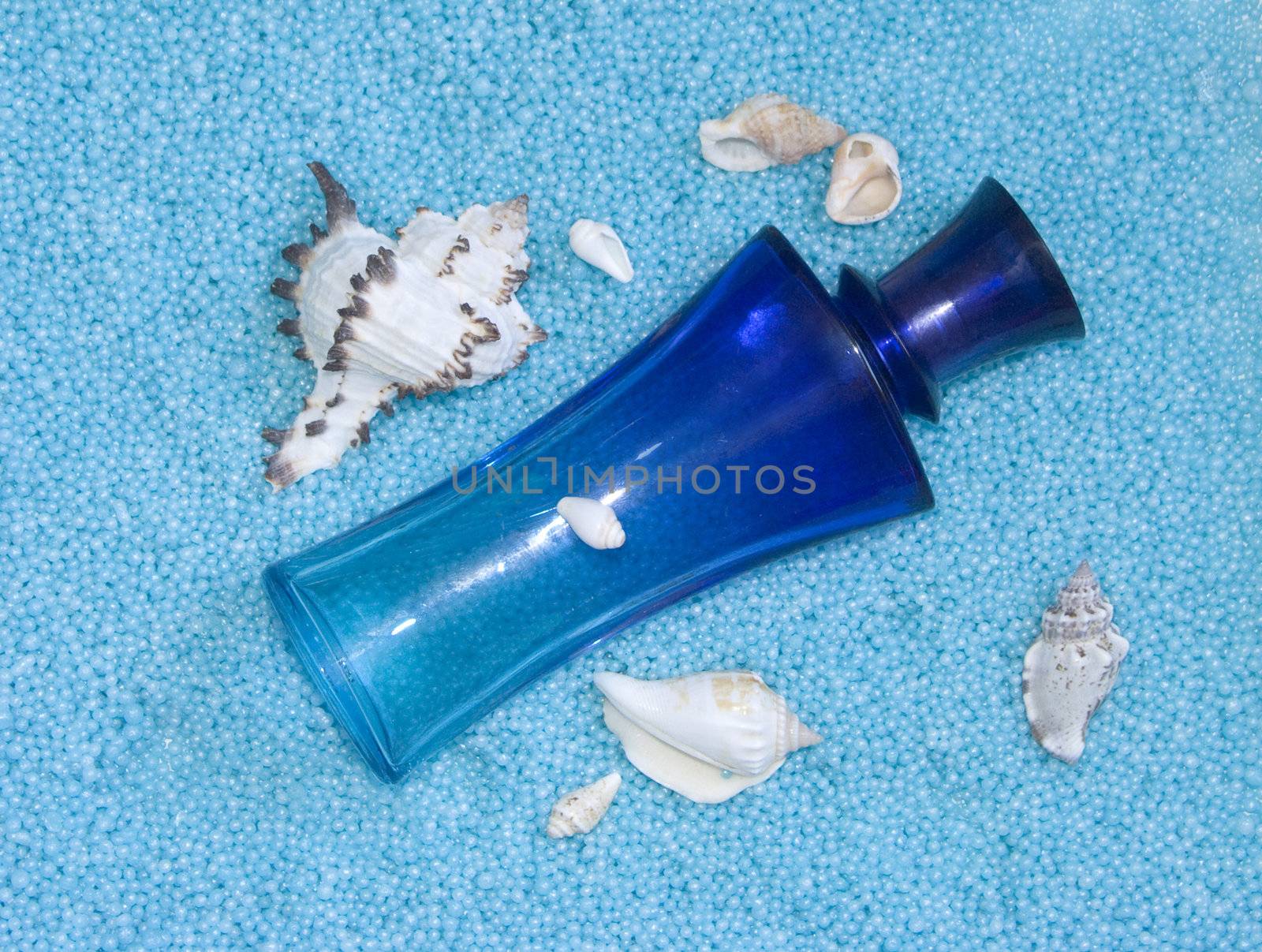 The image of a bottle of perfume and cockleshells on a dark blue background