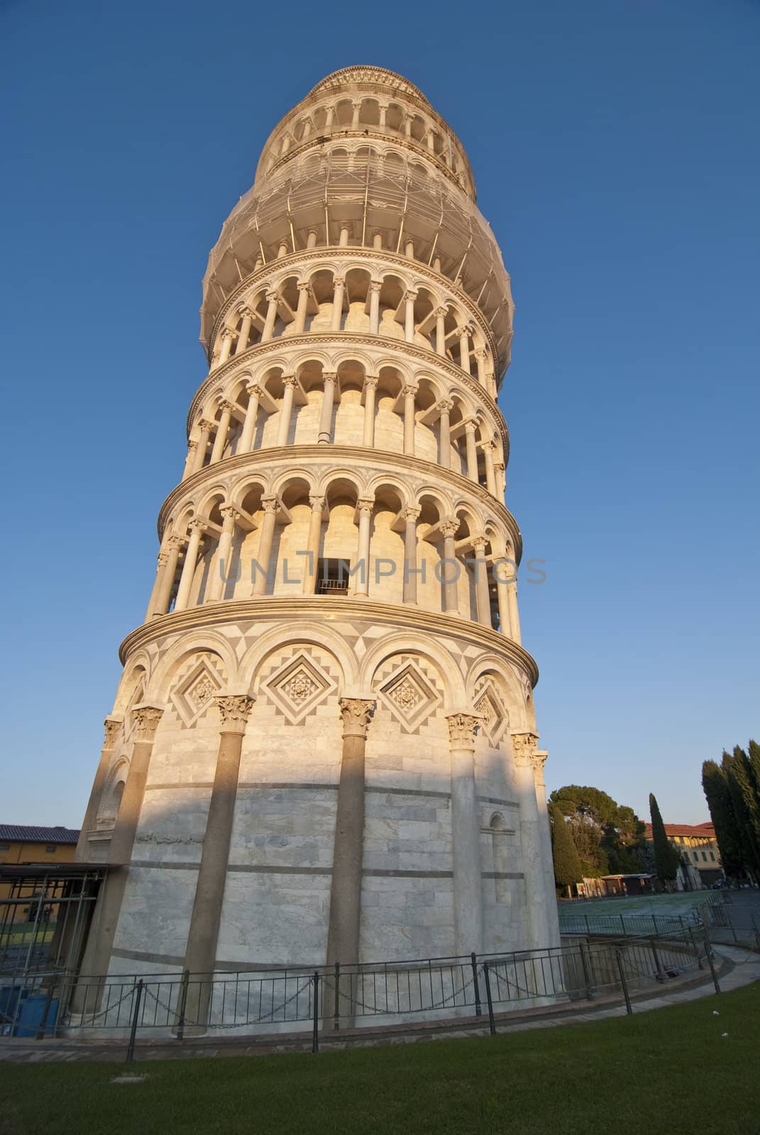 Leaning Tower, Piazza dei Miracoli, Pisa, Italy by jovannig