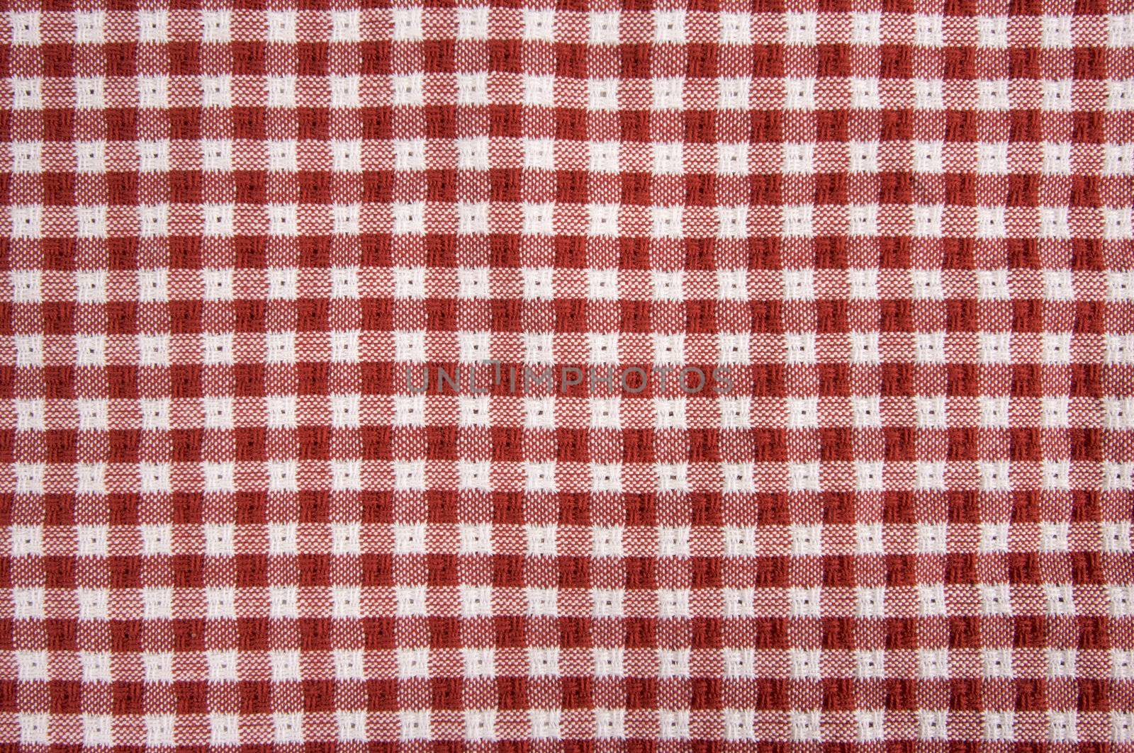 Red and White Checkered Picnic Blanket Detail