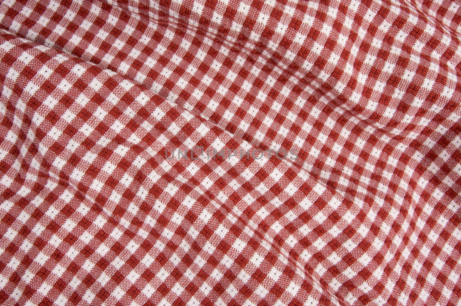 Red and White Checkered Picnic Blanket Detail
