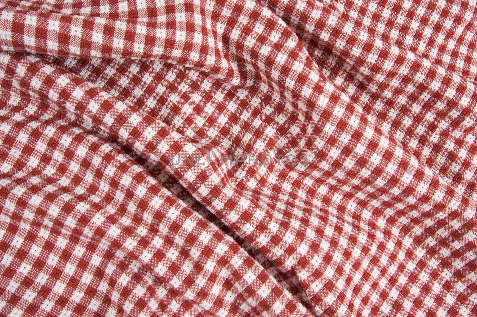 Red and White Checkered Picnic Blanket Detail