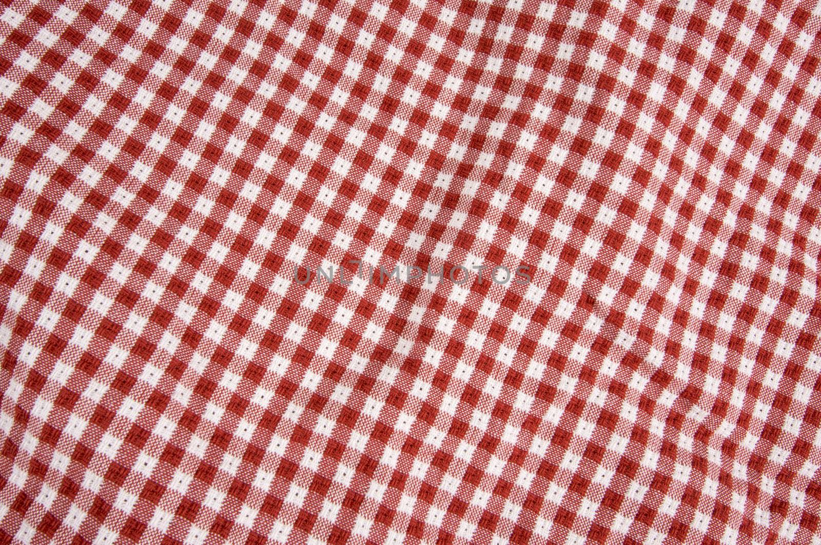 Red and White Checkered Picnic Blanket Detail