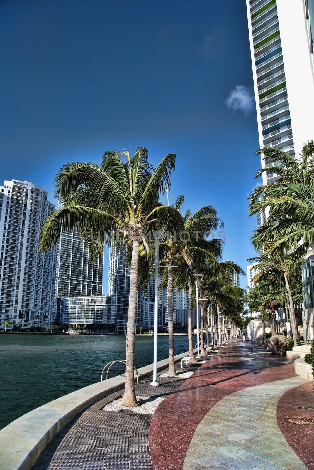Miami, Florida, on a Hot and Sunny Spring Morning by jovannig