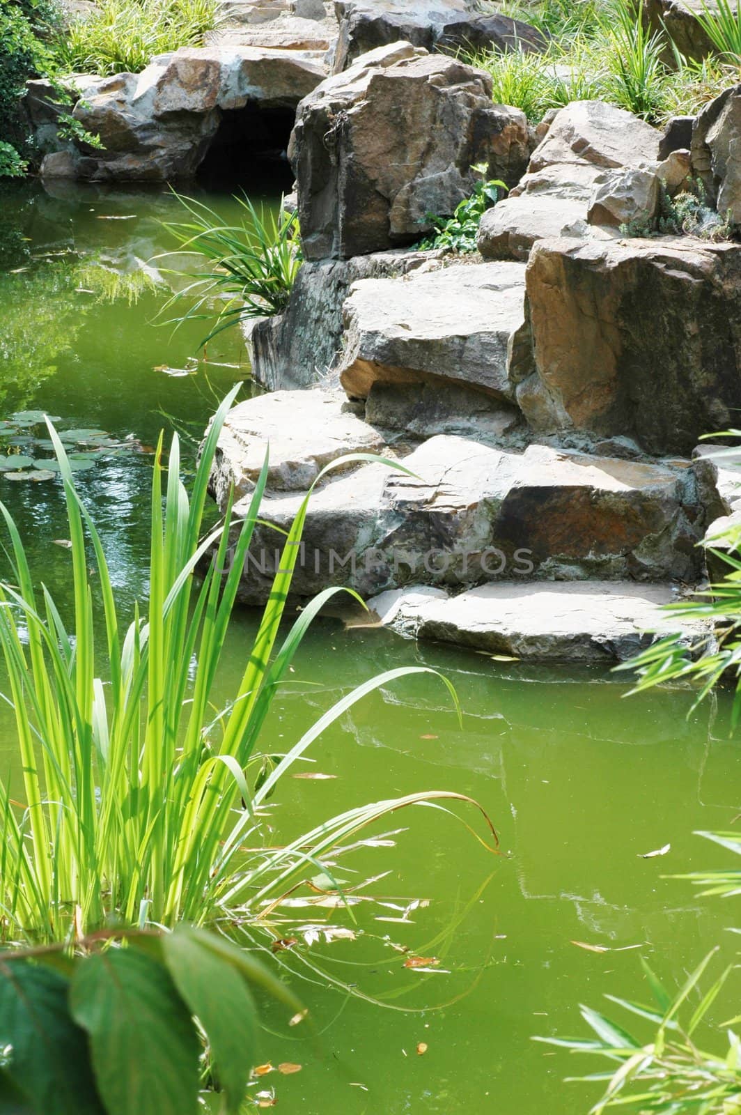 Rocks and green plants and stream flowing into lake