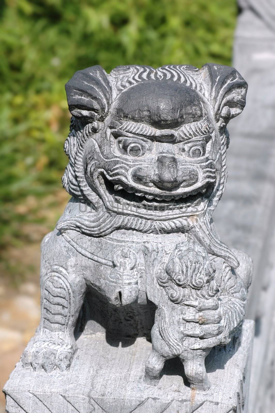 Oriental Lion Carving Statue by khwi