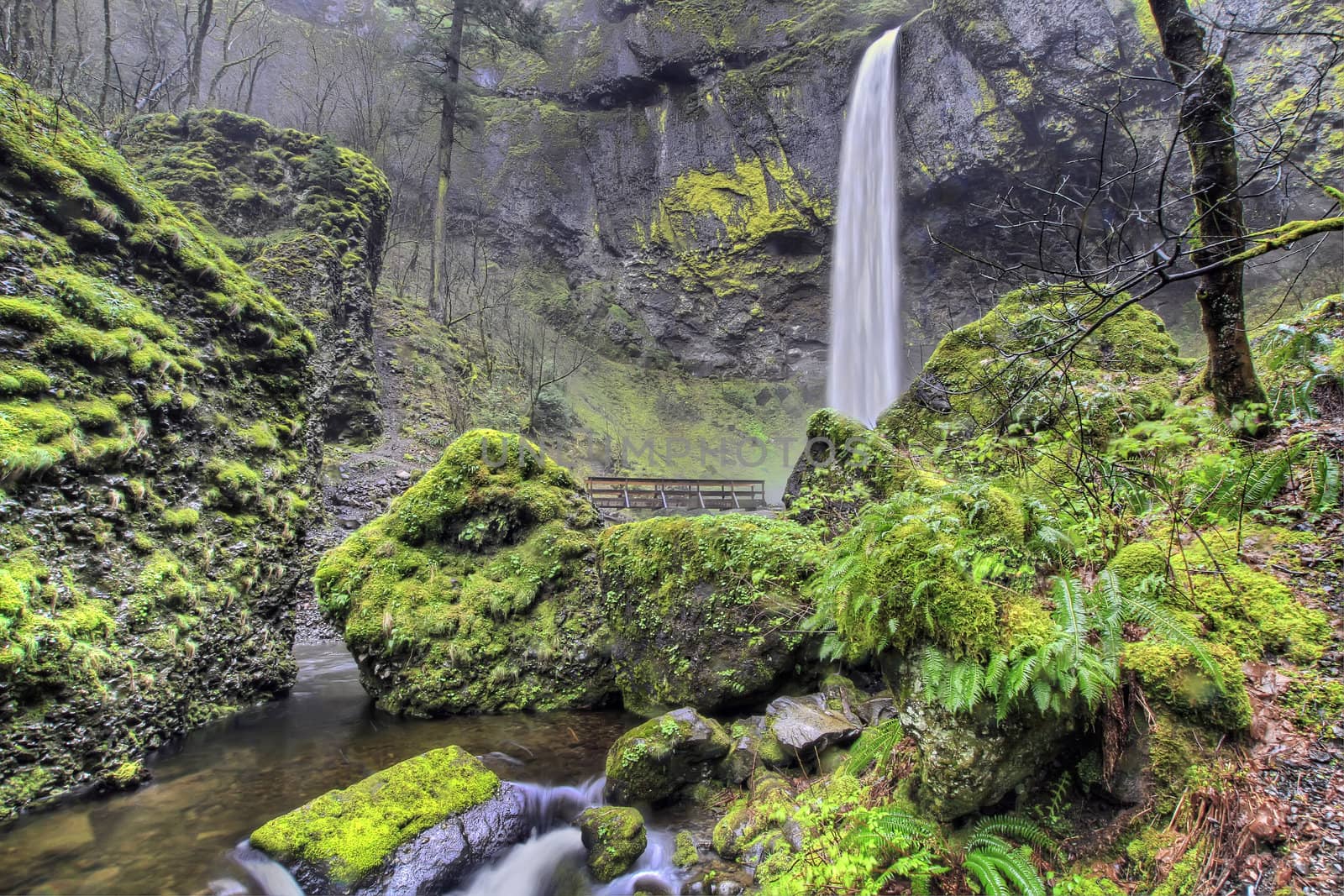 Elowah Falls with wooden bridge in Scenic Columbia River Gorge