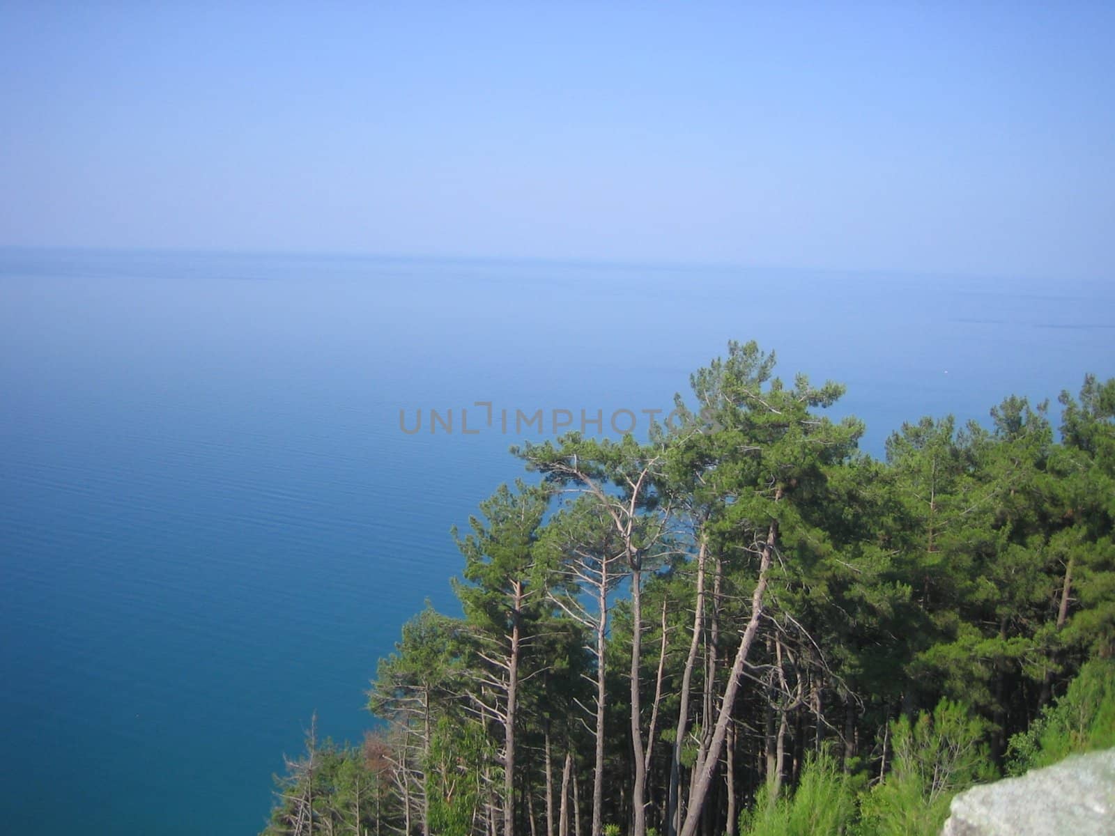 Black sea. Abkhazia. A kind from I.V.Stalin's summer residence