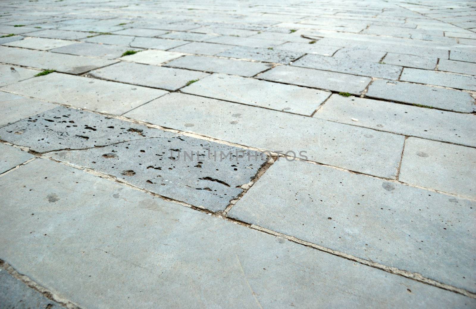 pavement by mettus